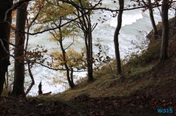 Nationalpark Jasmund Rügen Sellin 11.10