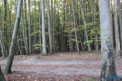 Nationalpark Jasmund Rügen Sellin 11.10