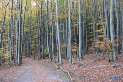 Nationalpark Jasmund Rügen Sellin 11.10