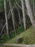 Nationalpark Jasmund Sellin Rügen 01.10