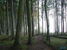 Nationalpark Jasmund Sellin Rügen 01.10