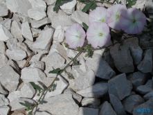 Punta Skala Zadar Kroatien 10.07
