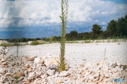 Punta Skala Zadar Kroatien 11.07