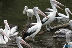 Weltvogelpark Walsrode