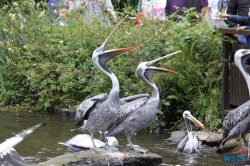 Weltvogelpark Walsrode