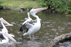 Weltvogelpark Walsrode