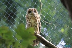 Weltvogelpark Walsrode