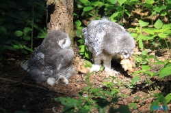 Weltvogelpark Walsrode