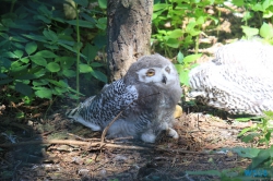 Weltvogelpark Walsrode