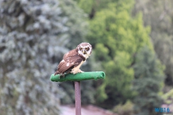 Weltvogelpark Walsrode