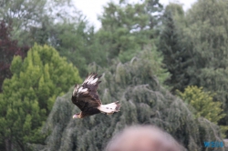 Weltvogelpark Walsrode