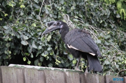 Weltvogelpark Walsrode