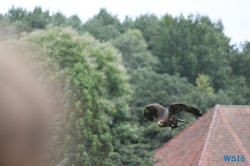 Weltvogelpark Walsrode
