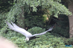 Weltvogelpark Walsrode
