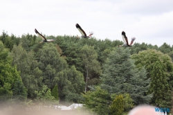 Weltvogelpark Walsrode