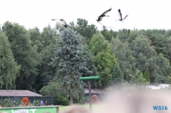 Weltvogelpark Walsrode