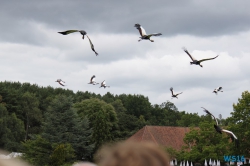 Weltvogelpark Walsrode