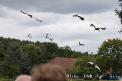 Weltvogelpark Walsrode