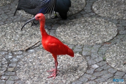 Weltvogelpark Walsrode