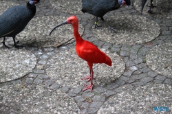 Weltvogelpark Walsrode