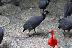 Weltvogelpark Walsrode