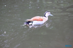 Weltvogelpark Walsrode