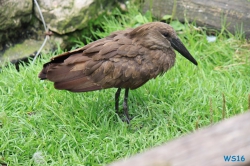 Weltvogelpark Walsrode