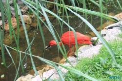 Weltvogelpark Walsrode