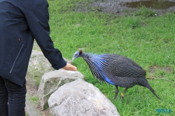 Weltvogelpark Walsrode