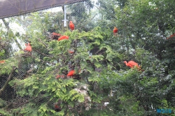 Weltvogelpark Walsrode