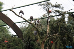 Weltvogelpark Walsrode