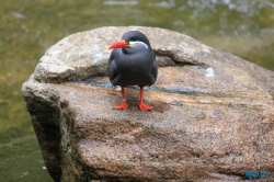 Weltvogelpark Walsrode