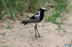 Weltvogelpark Walsrode