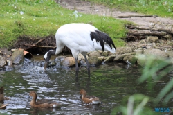 Weltvogelpark Walsrode