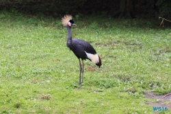 Weltvogelpark Walsrode