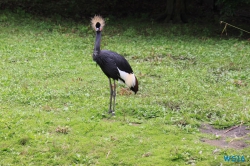 Weltvogelpark Walsrode