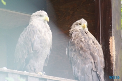 Weltvogelpark Walsrode