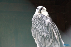 Weltvogelpark Walsrode