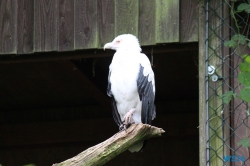 Weltvogelpark Walsrode