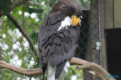 Weltvogelpark Walsrode