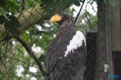 Weltvogelpark Walsrode