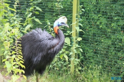 Weltvogelpark Walsrode