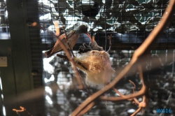 Weltvogelpark Walsrode