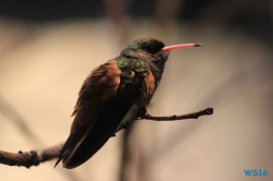 Weltvogelpark Walsrode