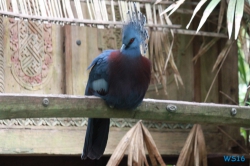 Weltvogelpark Walsrode
