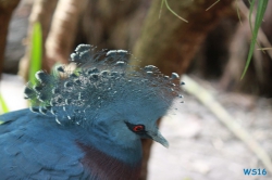 Weltvogelpark Walsrode