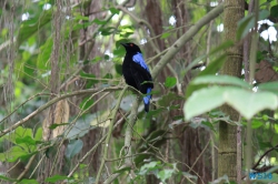 Weltvogelpark Walsrode