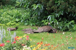 Weltvogelpark Walsrode