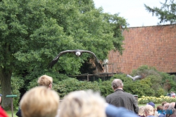 Weltvogelpark Walsrode