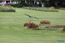 Weltvogelpark Walsrode
